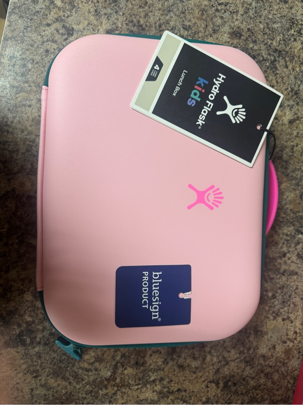 Hydro Flask Kids Pink Lunch Box with Teal Trim